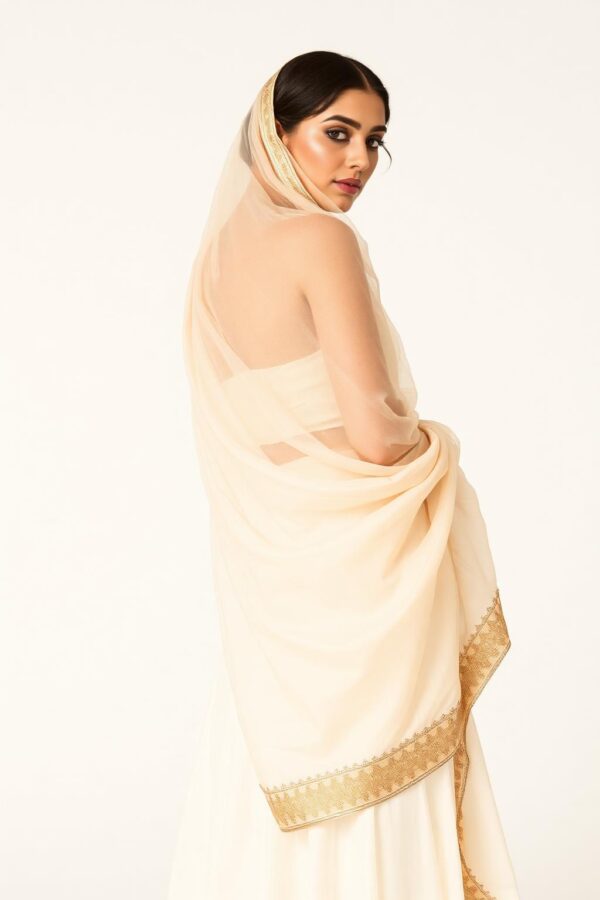 Organza Dupatta