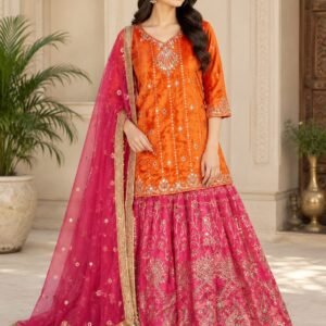 Rani Orange & Pink Embroidered Luxury Ensemble
